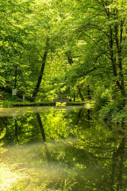 Foto: Verein SÜW Annweiler e.V., Fotograf: Dominik Ketz