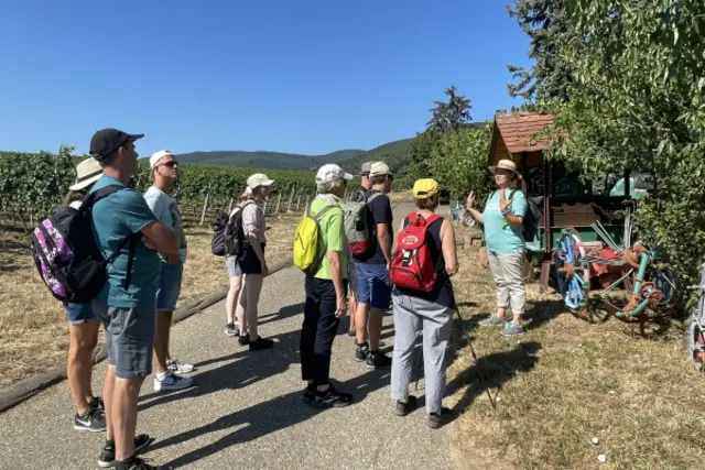 Foto: Touristinformation Maikammer