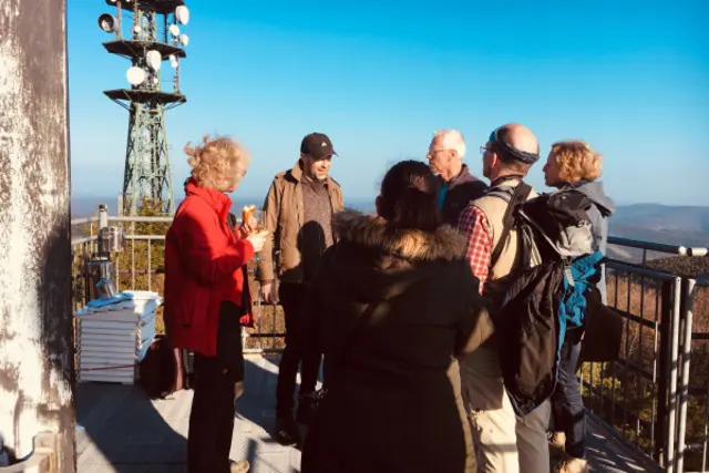 Foto: Touristinformation Maikammer