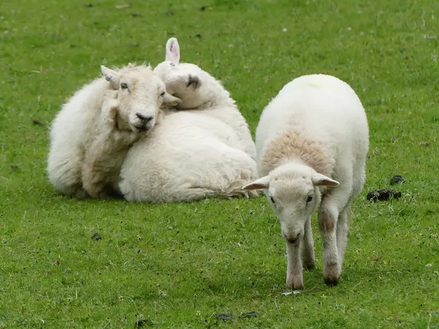 Ausruhen angesagt | Foto: Heidrun Knoch