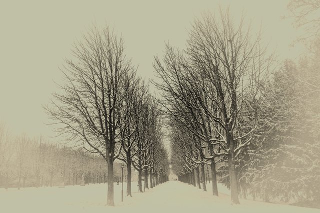 Der Schlosspark von Bruchsal im Januar