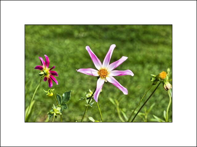 Wünsche den Menschen einen schönen Tag