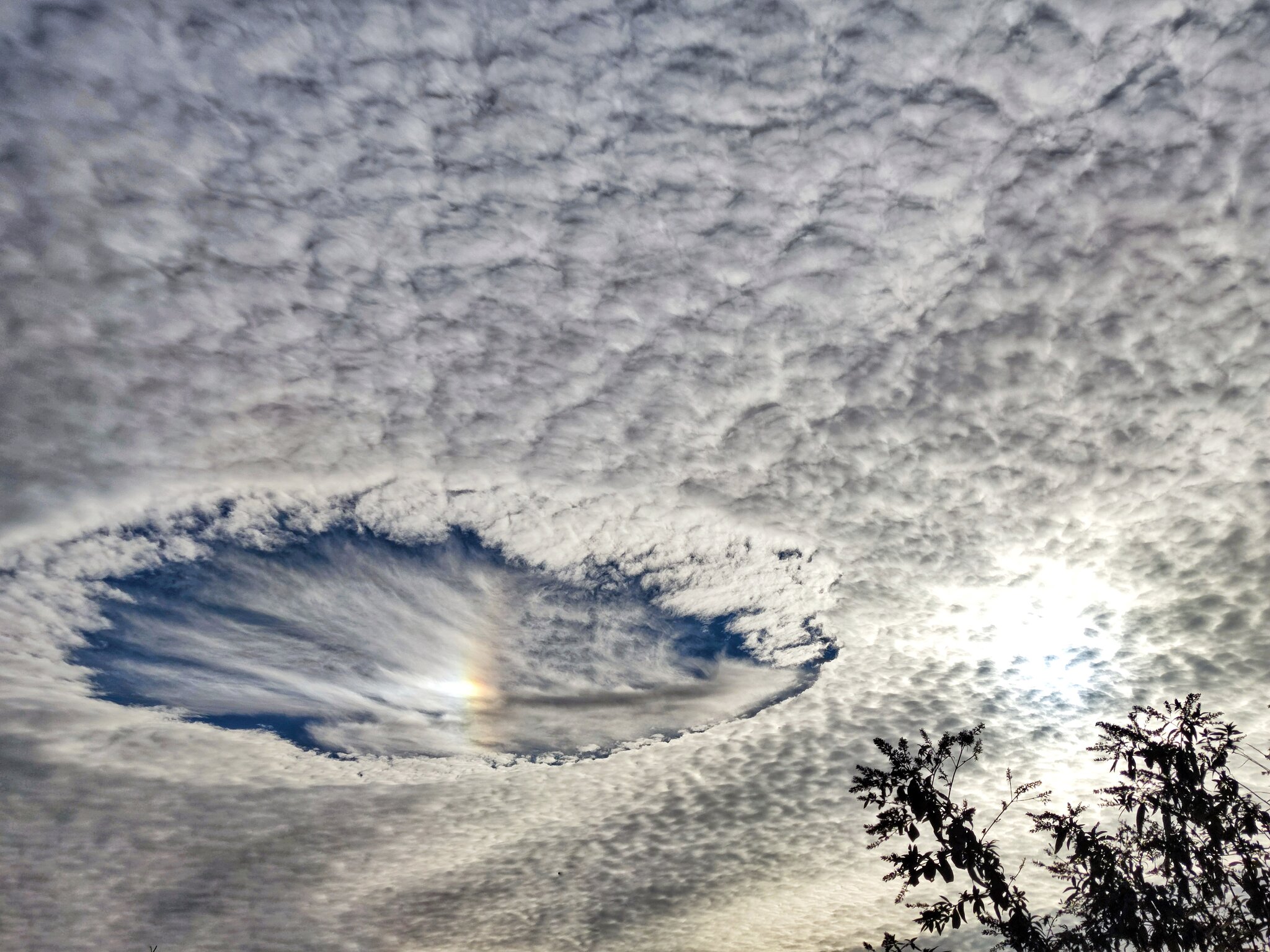 Hole Punch Clouds