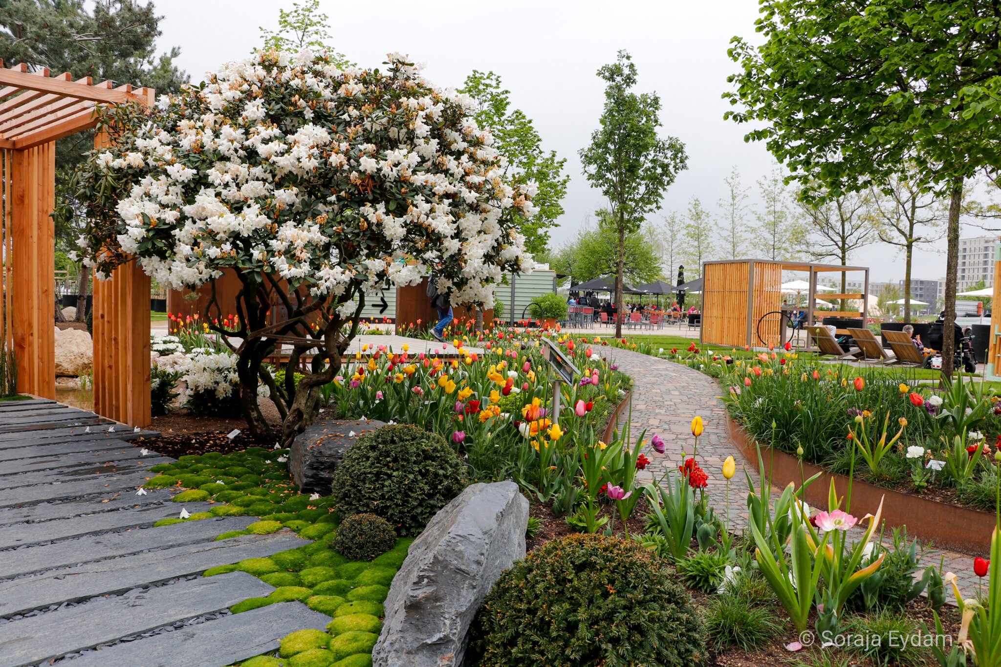 BUGA 2023 Mannheim_ vielfältig gestalteter SpinelliPark