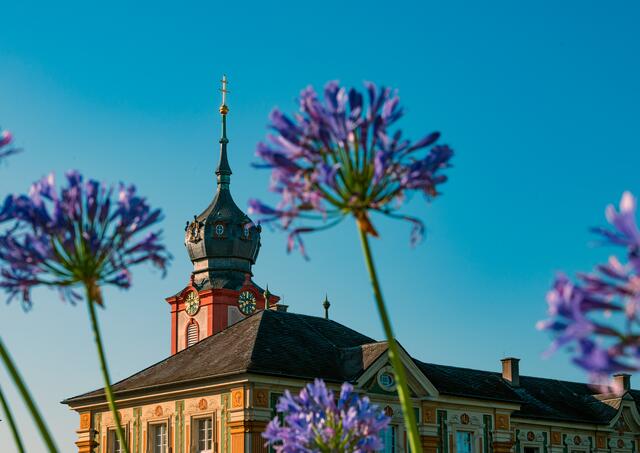 Foto: Alexander Riffel