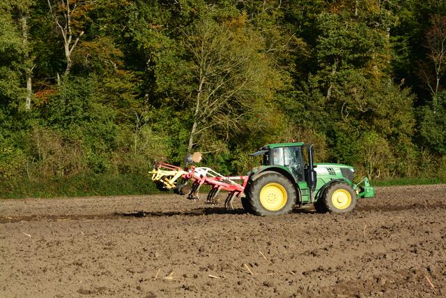 Pflügen im Herbst | Foto: Andrea Abt