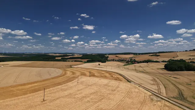 Sommerfeeling im Donnersbergkreis bei Ransweiler | Foto: Stephen Wüstenberg