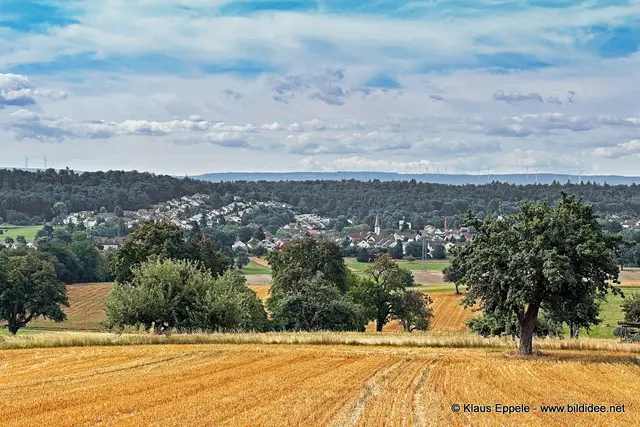 Foto: Klaus Eppele