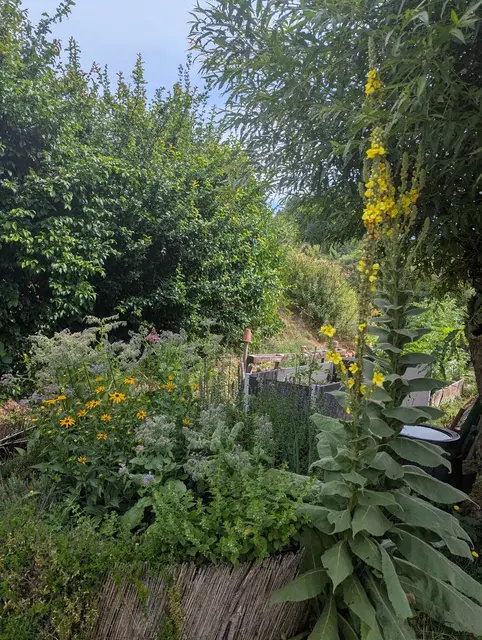 Sommerurlaub daheim
Entspannen in Oma und Opas zauberhaften Garten. | Foto: Johanna Hauck 