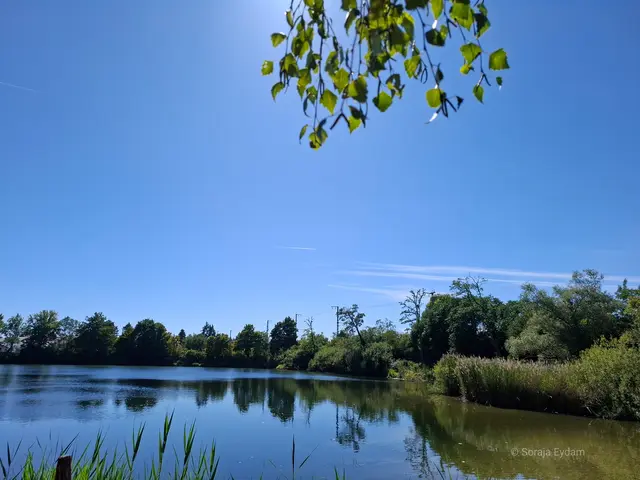 Bahnweiher Schifferstadt | Foto: Soraja Eydam 