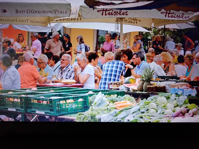 Samstag, 06.09.25
Von 9.30 bis 13.30 Uhr
Band, Acoustic Fight | Foto: GUBO 