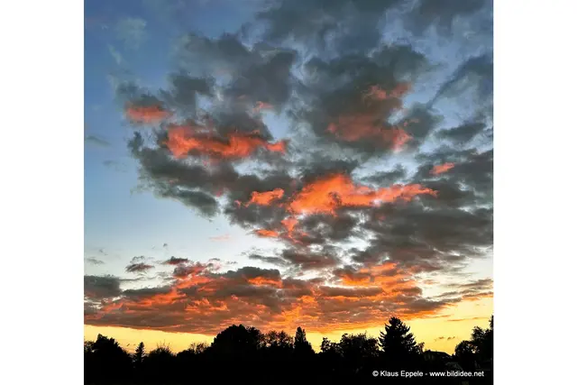 Foto: Klaus Eppele