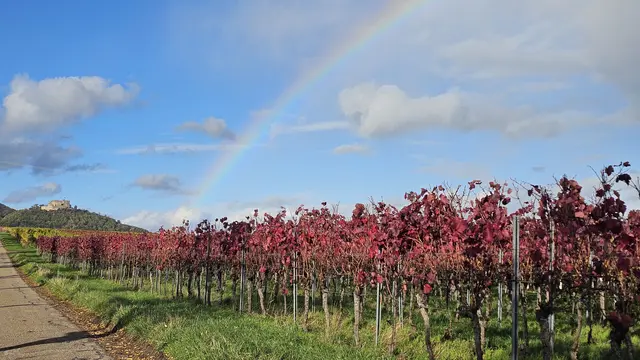 Zwischen Sonnenschein und Regenwolken: Das Hambacher Schloss im Herbst mit Regenbogenbrücke | Foto: Eva Bender
