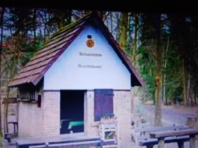 Traditionelle "Bruchhaisl Wanderung"
und Abschluss mit „Pfälzer Leckereien“
ab 17:00 Uhr im Sängerheim.
Am 29. Dezember 14:00 - 16:00 Uhr steht das Team von der Sängervereinigung am Bruchhaisl für Euch bereit. Wer das Bruchhaisl nicht kennt - einfach am Vogelpark parken und rechter Hand in den Wald laufen. Immer gerade aus laufen. Dann stößt man direkt aufs Bruchhaisl
Für Euer leibliches Wohl ist wie immer BESTENS gesorgt!
Ab 17:00 Uhr geht es dann im Sängerheim weiter.
Bei Bratwurst, Leberknödel und/oder Saumagen, lassen wir das Jahr gemütlich ausklingen.
Kommt vorbei, bringt Freunde mit und genießt die herzhafte Pfälzer Küche in gemütlicher Runde. Wir freuen uns auf einen tollen Tag mit Euch!
+++Anmeldung für das Essen am Abend ist unbedingt erforderlich+++
Bitte bei Herbert Bohrer unter 06324/64158 Eure Essensbestellung mitteilen. | Foto: Unbekannt 