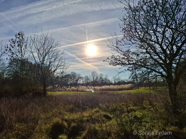 Warme Sonne  | Foto: Soraja Eydam 