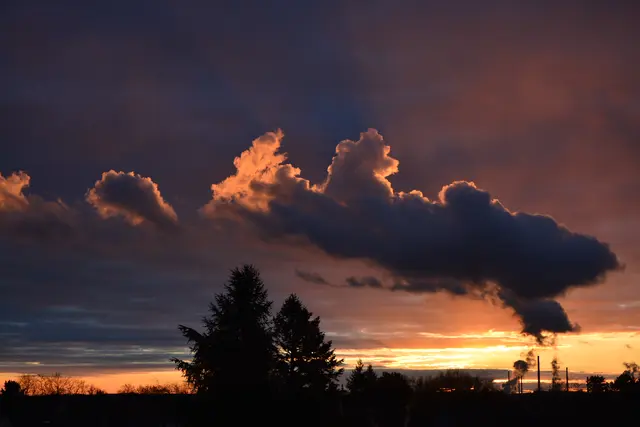Sonnenaufgang im Januar | Foto: Andrea Abt