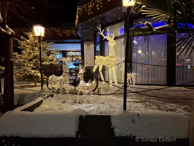 Lichterglanz | Foto: Soraja Eydam 