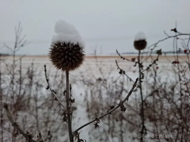 Mützchen | Foto: Soraja Eydam 