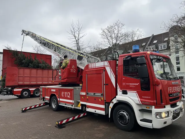 Der Baum am Gerd Dehof Platz wird von der Feuerwehr abgeholt. | Foto: Aljoscha Kertesz