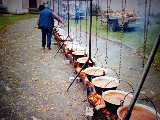 ungarisches Kesselgulasch der Donaudeutschen in Haßloch
Bitte tiefen Teller, Löffel, Kaffeetasse, Kuchenteller, Gabel mitbringen.
15.02.2026
Das Essen wird gegen 12.30 Uhr serviert
TSG HASSLOCH
Ludwig Gramlich Straße 1
Preis: 14,- €
Kinder (bis einschließlich 12) zahlen die Hälfte
Anmeldung bis zum 05.02.2026 per E-Mail an: Vorstand@donaudeutsche-hassloch.de
Eine Anmeldung ist zwingend erforderlich!!
Wie weißen darauf hin, dass auf der Veranstaltung Bilder zum Zwecke der Werbung und Veröffentlichung
in Zeitungen bzw. auf der Website und in den sozialen Medien gemacht werden.
Wir weißen darauf hin, dass sich der Preis pro Person auf das Gulasch bezieht, dass vor Ort verzehrt
wird. Es darf nichts vom Kessel auf dem Tisch in einen Behälter geschöpft und mit nach Hause
genommen werden. Wer etwas mit nach Hause nehmen möchte, bringt einen Behälter mit und kommt
nach dem Abräumen bitte auf uns zu. | Foto: GUBO 