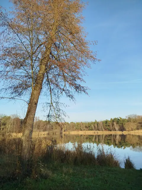 Weiher Böhl Iggelheim im Ruhestand. Einfach erholsam. Frische Luft und vor allem Ruhe. | Foto: Manu Wo