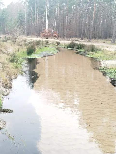 Natur pur, Ruhe pur - und Müll? 😔 Lasst uns diesen Ort sauber halten! Nehmt euren Müll mit und seid ein Vorbild. Für die Tiere, für die Kinder... für uns alle. 💚 | Foto: Manu Wo