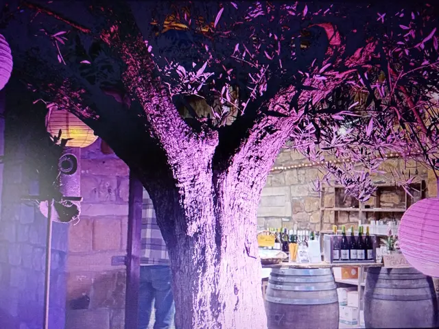 Weingut Kohl, Erpolsheim 
Samstag, 21. Februar 2026
von 12 bis 20 Uhr 
 | Foto: GUBO 