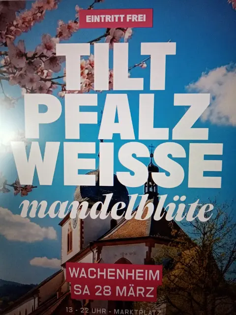 Samstag, 28.03. 26
Um 13 Uhr 
* Sound: House all day long by TILT Residents
* Start: Ab 13:00 Uhr
* Location: Marktplatz Wachenheim (Weinstraße gesperrt)
* Eintritt: Frei
 | Foto: GUBO 