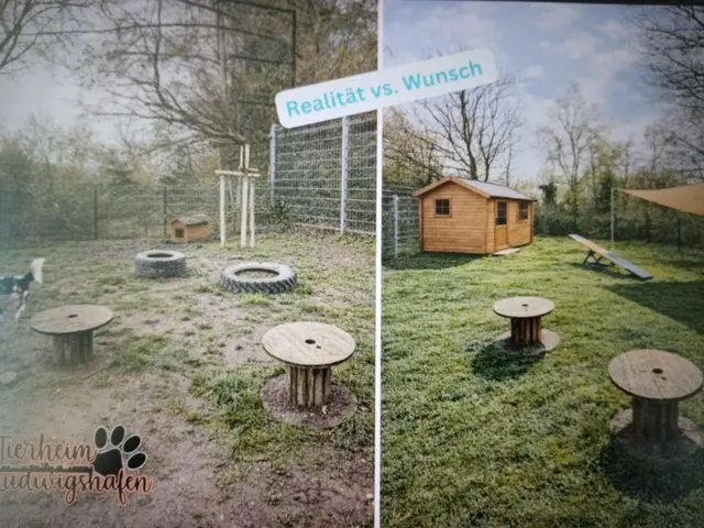 🚨 Jetzt zählt jede Stimme – wir brauchen euch - es kostet nichts bis auf ein Klick! 🚨
Unser Projekt beim Heldengesuch der Pfalzwerke ist offiziell am Start – und jetzt kommt ihr ins Spiel! 💪🐾
Ab sofort heißt es bitte: Voten, teilen, weitersagen!
Denn nur mit eurer Unterstützung können wir ganz vorne mitmischen und haben eine Chance auf die 500€, für unsere Tiere.
👉 So einfach geht helfen:
✔️ Klickt auf den Link und gebt eure Stimme ab
https://www.pfalzwerke.de/.../Tierheim-Ludwigshafen-e-V...
✔️ Teilt den Beitrag auf euren Social Media Plattformen
✔️ Schickt ihn in eure WhatsApp-Gruppen, euren Status, an Familie &amp; Freunde
Jede einzelne Stimme bringt uns einen Schritt näher. ❤️
📅 Voting-Zeitraum: 23.03. – 06.04.
Also: Vollgas geben, dranbleiben und gemeinsam alles rausholen! 🚀
Danke, dass ihr Teil unserer Community seid und uns unterstützt – ihr seid einfach großartig! Gemeinsam schaffen wir das, wir glauben ganz fest daran!
👉 Und jetzt – spätestens – klickt bitte auf den Link  und votet! 🙌
https://www.pfalzwerke.de/.../Tierheim-Ludwigshafen-e-V...
Vom Tierheim übernommen ! | Foto: Tierheim Ludwigshafen