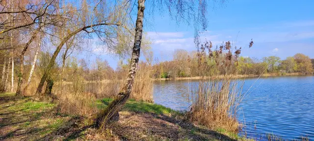 Baggersee Jockgrim | Foto: Andrea Abt 