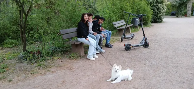 Im Park hinter dem Dom zu Speyer gönnen sich ein paar Freunde eine kleine Pause auf der Bank. Doch schnell wird klar, wer hier wirklich das Kommando hat: der Hund mit der Leine!  Gute Laune garantiert — der Spaziergang steht eindeutig unter tierischer Leitung.  | Foto: Liubov Arnold