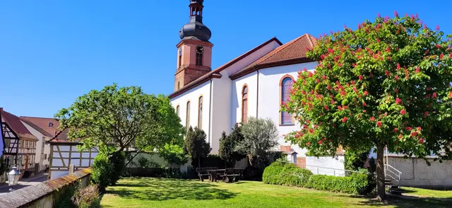 Kirchgarten Rheinzabern mit roter Rosskastanie | Foto: Andrea Abt 