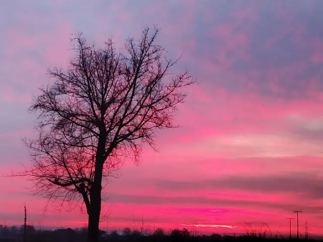 Atemberaubender Lichteffekte.... 

Wenn die Sonne aufgeht am Horizont von Böhl Iggelheim  | Foto: Mwo 