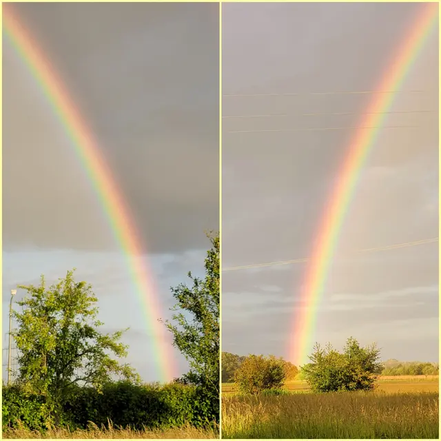 Regenbogen | Foto: Andrea Abt