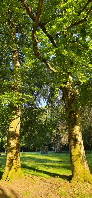 Natur Pur Bürgerpark Wörth am Rhein  | Foto: Orhan Özdemir