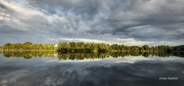 Kiefer Rathjens Baggersee Wörth am Rhein  | Foto: Orhan Özdemir