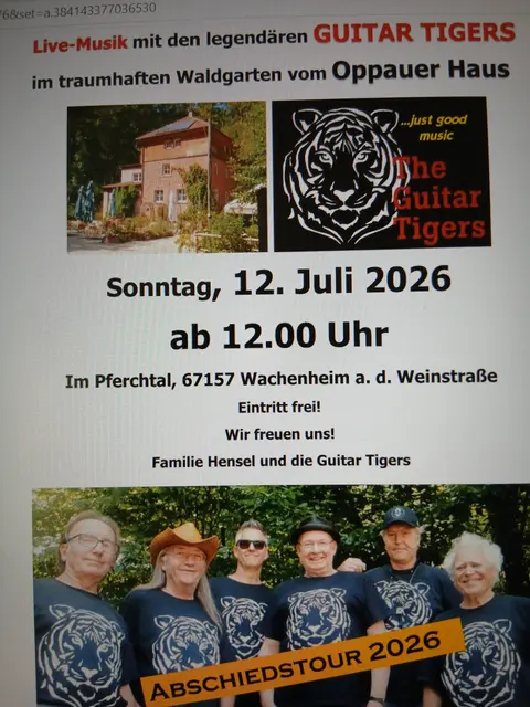 Siehe Bild | Foto: Guitar Tigers 