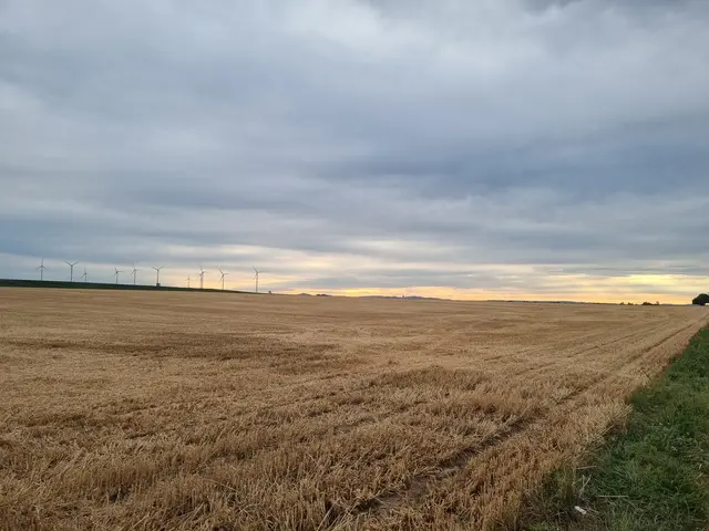 Foto: Petra Mäurer