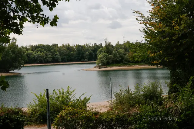 Am Altrhein Waldsee | Foto: Soraja Eydam