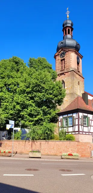 Rheinzabern  | Foto: Andrea Abt