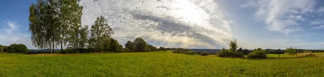 Blick in Richtung »Mittelstück am Rübenberg« zwischen »Lange Ahnung« und »Kapellen Ahnung«, oberhalb von Eppenbrunn und Imsbacherhof. | Foto: Dominic Maginot