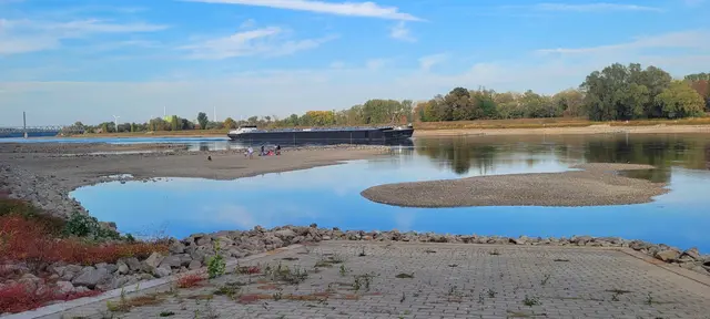 Schifffahrt auf dem Rhein bei Maxau - Pegelstand 280 cm am 30.09.2026 | Foto: Andrea Abt
