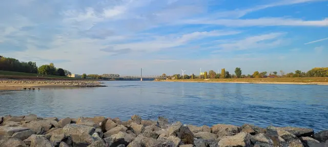 Mitten im Rhein mit Blick auf die Rheinbrücke Maxau - Maximiliansau | Foto: Andrea Abt