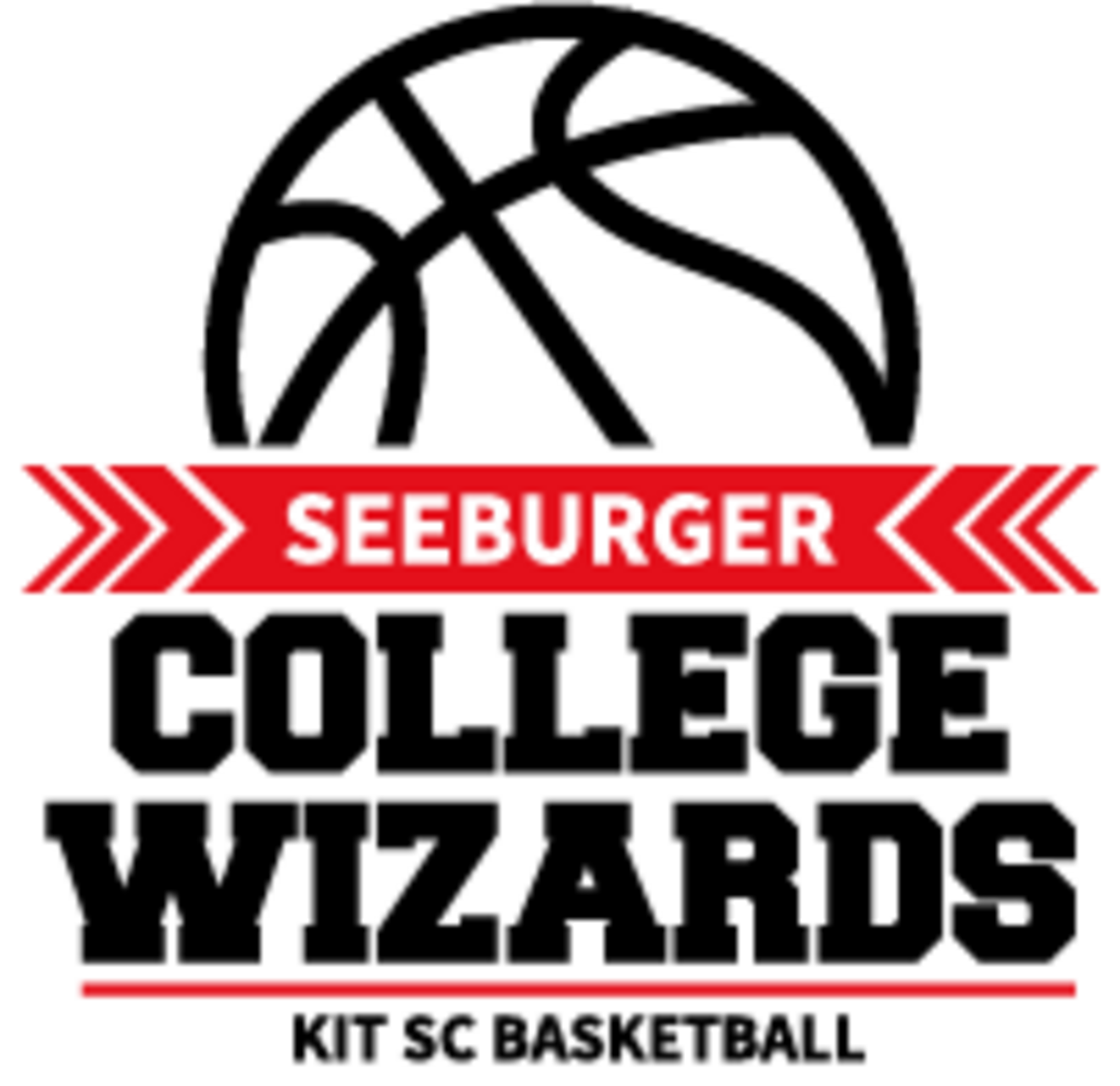 Basketball KIT SC aus Karlsruhe Wochenblatt Reporter