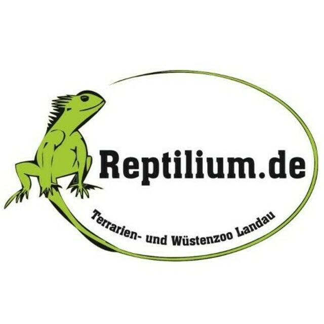 Vorwahl 0069